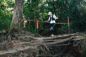 BIB: 
                            <button type="button" onclick="openModal(27754205)" class="btn btn-primary btn-sm float-right btn-popup" data-toggle="modal" data-target=".modal-high-quality">
                        <i class="fas fa-shopping-cart"></i> Add to Cart
                    </button>
                                            <button type="button" onclick="isThisMe(27754205, true)" class="btn btn-success btn-sm float-right btn-popup btn-isme hidden" data-toggle="tooltip" data-placement="bottom" title="นี่คือรูปของคุณใช่ไหม คลิกที่นี่เพื่อเอาเข้าอัลบั้ม">
                        <i class="fas fa-plus"></i> Add to album
                    </button>
                    <button type="button" onclick="isThisMe(27754205, false)" class="btn btn-warning btn-sm float-right btn-popup btn-isnotme hidden">
                        <i class="fas fa-ban"></i> Remove from album
                    </button>